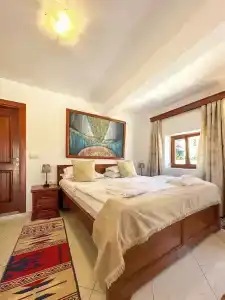Palata Venezia - 56
