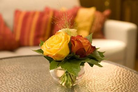Boutique Splendid-Dollmann - 48