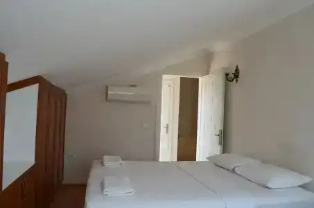 Cam - 174