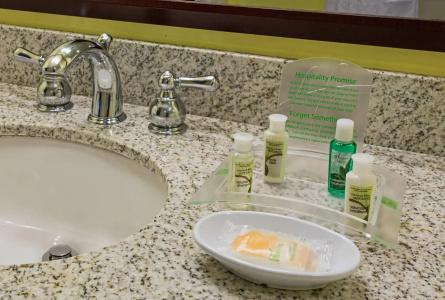 Holiday Inn Orlando – Disney Springs™ Area, An Ihg - 9
