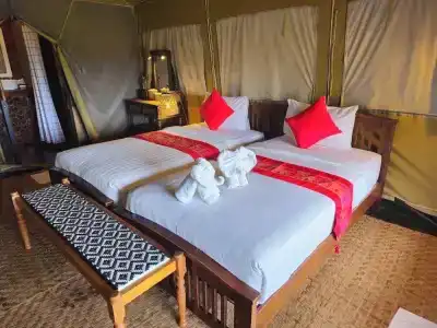 Khaosok Boutique Camps - 70