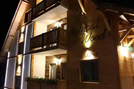 Villa Natural Wood - 18