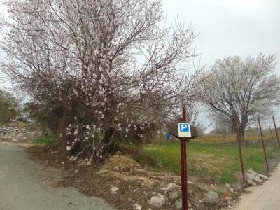 Walnut Grove - 23