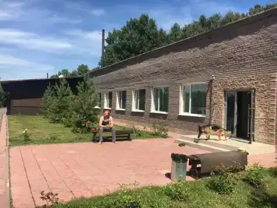 Медведь - 0