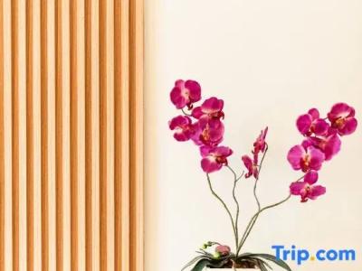The Golden Ville Boutique and Spa - 164