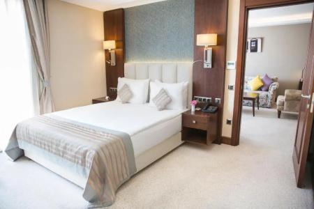 Grand Aras & Suites - 65