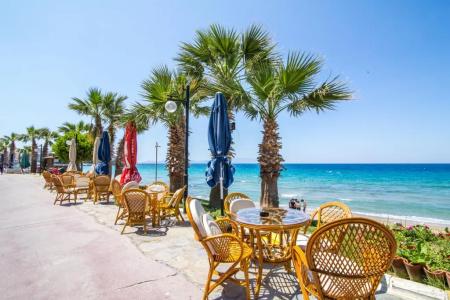 Sunday Beach - 7