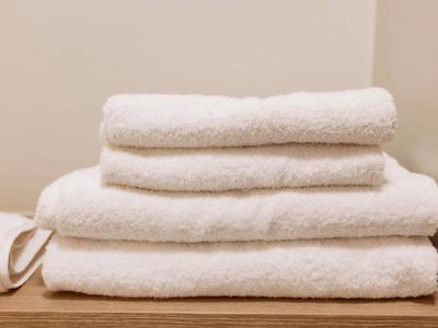 ibis Clermont Ferrand Sud Herbet - 53