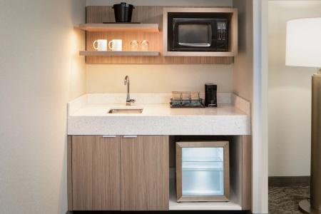 SpringHill Suites by Marriott Dallas Downtown / West End - 48