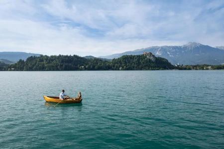 Vila Bled - 26