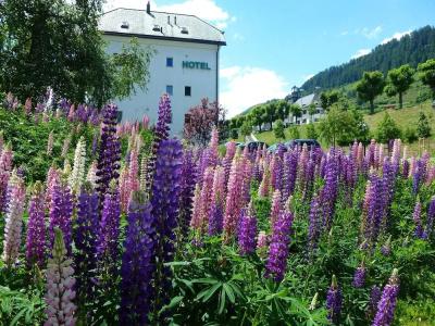 Typically Swiss Altana - 17