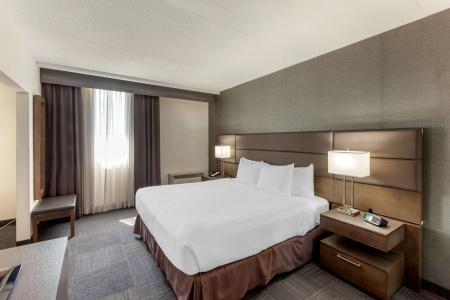 Best Western Plus Toronto Airport - 70