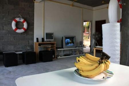Monkey Samui Hostel - 2