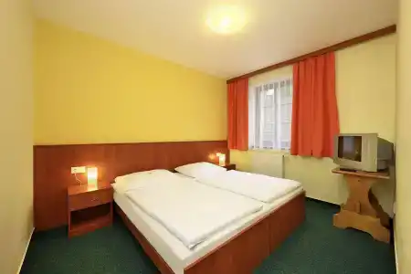 Záviš z Falkenštejna - 29