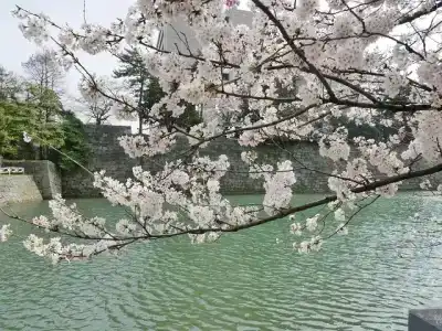 Fukui Castle - 18