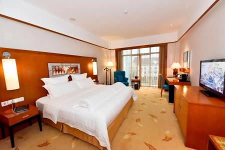 Pullman Zhangjiajie - 40