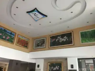 Naris Art - 1