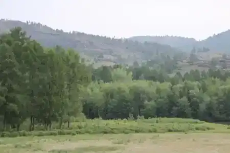 АлтынИб - 2
