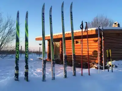 Серебряное копытце - 9