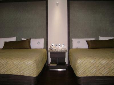 Holiday Inn Express - Mexico Basilica, An Ihg - 6