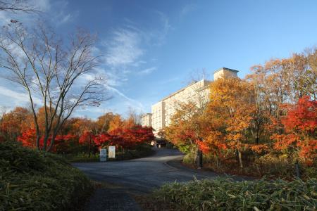 Okura Akademia Park - 31