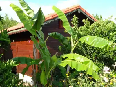 Ugur Pansiyon Bungalows - 51