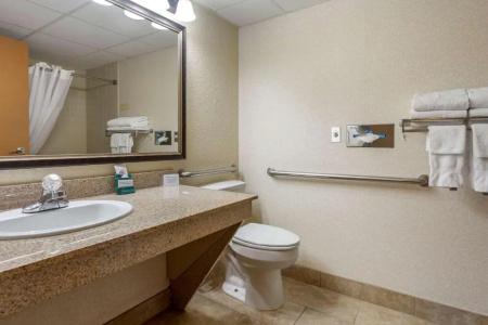 Comfort Inn at Thousand Hills - 43