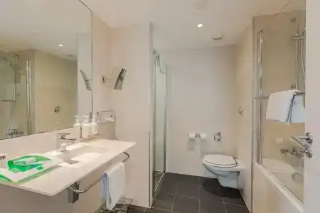 Holiday Inn Mulhouse, An Ihg - 79