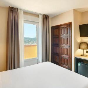 Sercotel Alfonso Vi - 42