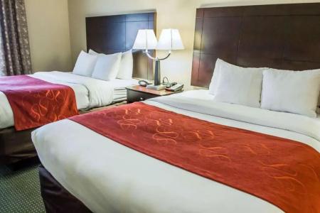 Comfort Suites Orlando Airport - 65