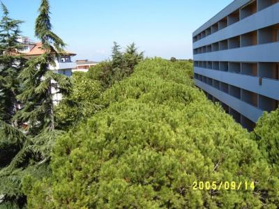 Gran Venere Beach - 28