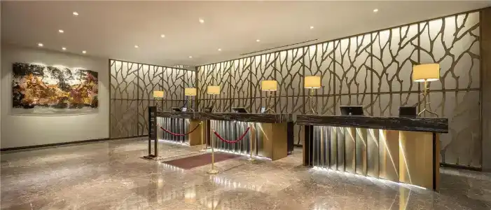 Ankara HiltonSA - 18
