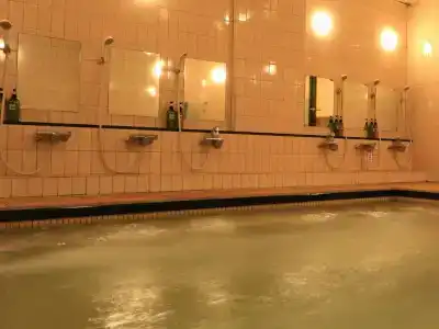 Izumiya Ryokan - 6
