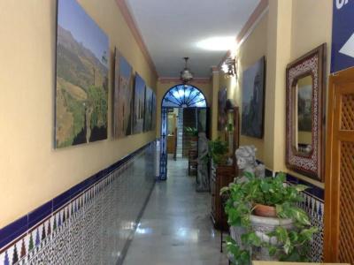 Virgen Del Rocío - 14