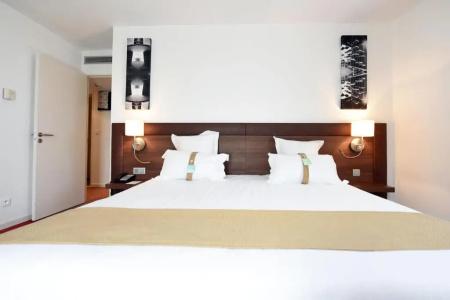 Holiday Inn Mulhouse, An Ihg - 66