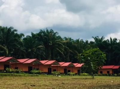 Khao Sok Evergreen House - 28