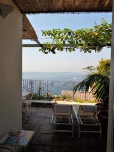Villa Rosa - 43