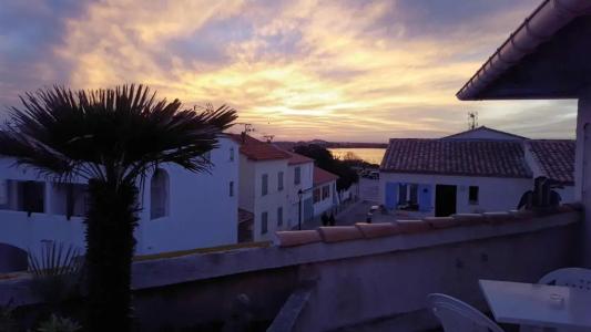 Les Palmiers En Camargue - 48