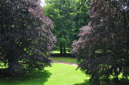 ParkBochum by stays - 14
