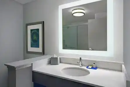 Holiday Inn Express - Houston - Galleria Area, An Ihg - 41