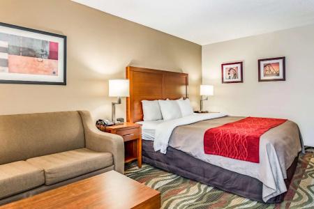 Comfort Inn & Suites West - Lookout Mountain - 43