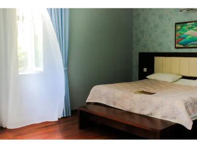 Vilesh Palace - 29
