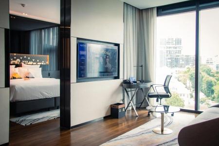 Novotel Singapore On Stevens - 43