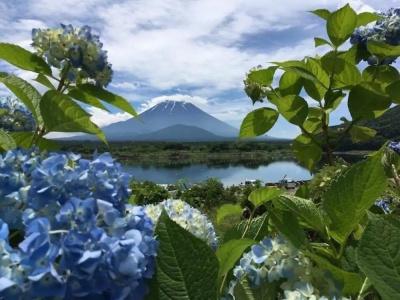Shoji Mount - 21