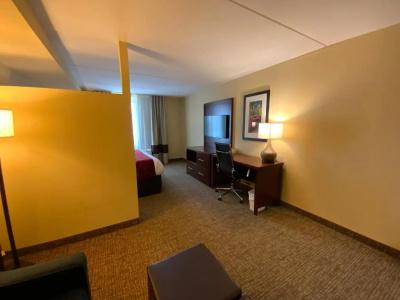 Comfort Suites North - 85