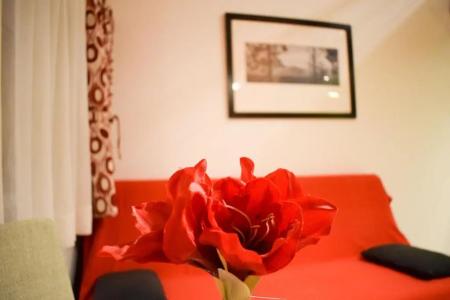 Downtown  Pula - 184