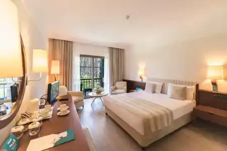 Turquoise - 1