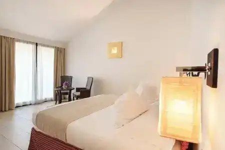 Alberi Del Paradiso - 100