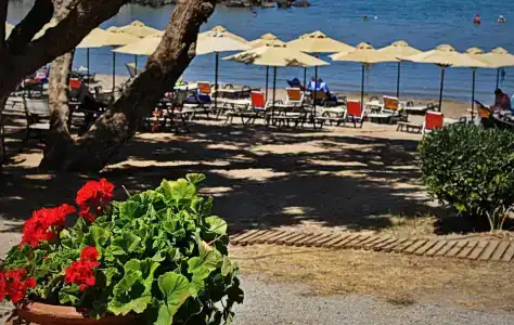 Aphrodite Beach - 19