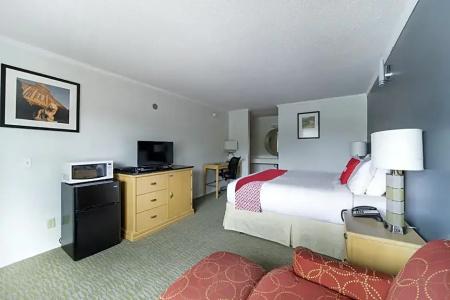 Gordon Highway Inn - 22